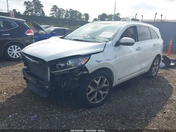 5XYPKDA57KG451708 2019 KIA SORENTO - Image 2