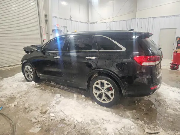 5XYPKDA58HG239599 2017 KIA SORENTO - Image 2