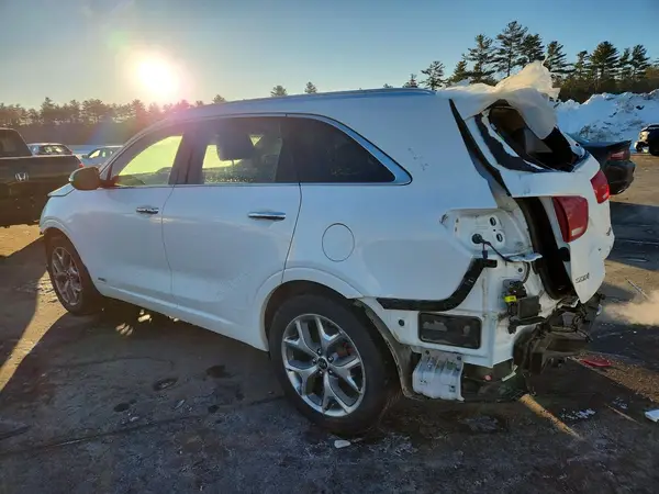 5XYPKDA58KG456982 2019 KIA SORENTO - Image 2