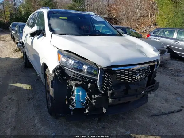 5XYPKDA58KG525508 2019 KIA SORENTO - Image 1