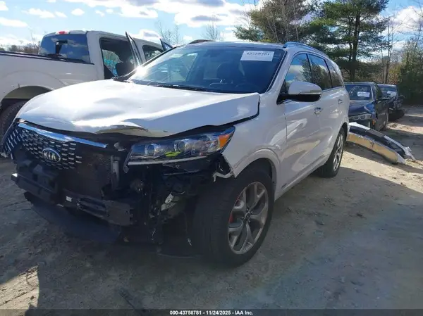 5XYPKDA58KG525508 2019 KIA SORENTO - Image 2