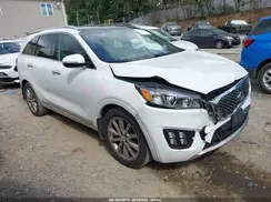 5XYPKDA59GG013666 2016 KIA SORENTO