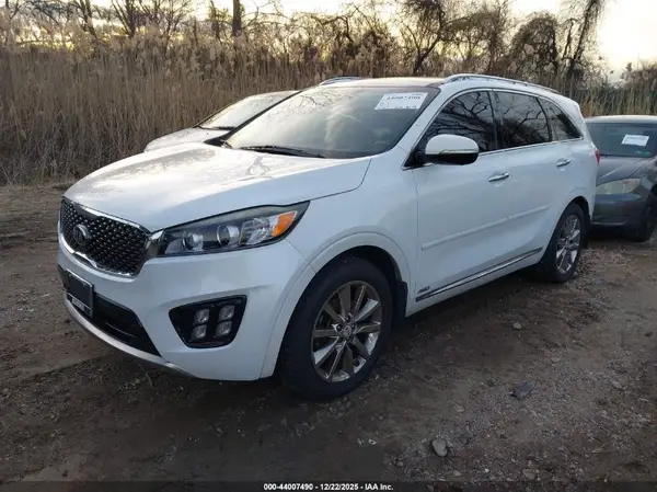 5XYPKDA59GG016910 2016 KIA SORENTO - Image 2