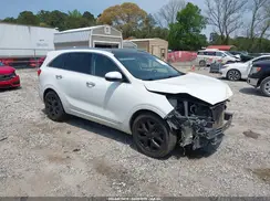 5XYPKDA59HG226666 2017 KIA SORENTO