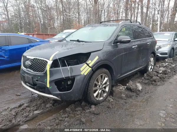 5XYPKDA59HG299312 2017 KIA SORENTO - Image 2