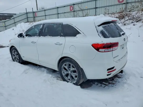 5XYPKDA59HG305352 2017 KIA SORENTO - Image 2