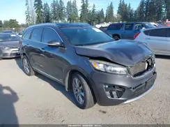 5XYPKDA5XGG099179 2016 KIA SORENTO