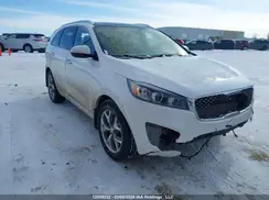 5XYPKDA5XGG154522 2016 KIA SORENTO