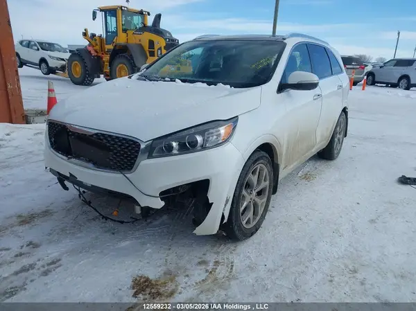 5XYPKDA5XGG154522 2016 KIA SORENTO - Image 2