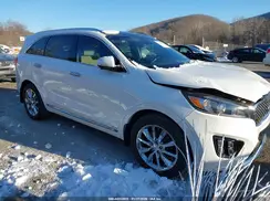 5XYPKDA5XHG227308 2017 KIA SORENTO
