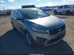 5XYPKDA5XHG305313 2017 KIA SORENTO