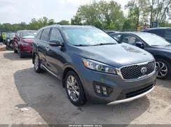 5XYPKDR55GG099140 2016 KIA SORENTO