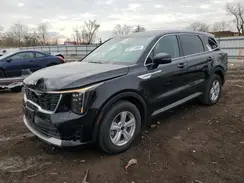 5XYRG4JC0RG271831 2024 KIA SORENTO