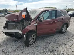 5XYRG4JC2RG283320 2024 KIA SORENTO