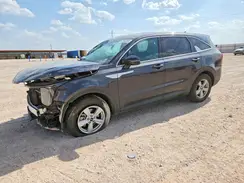 5XYRG4JC2SG344963 2025 KIA SORENTO