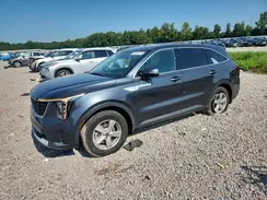 5XYRG4JC3RG254117 2024 KIA SORENTO