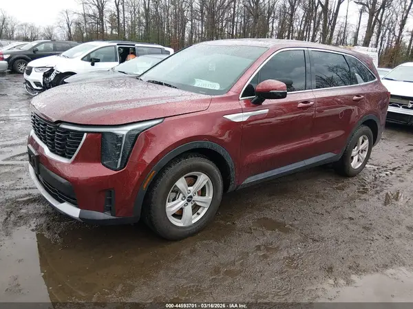 5XYRG4JC3RG294990 2024 KIA SORENTO - Image 2