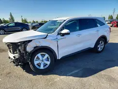 5XYRG4JC6RG299455 2024 KIA SORENTO