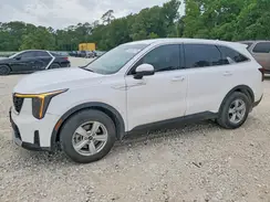 5XYRG4JC6SG376900 2025 KIA SORENTO