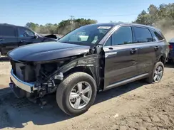 5XYRG4JC6SG388688 2025 KIA SORENTO