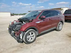 5XYRG4JC7SG342836 2025 KIA SORENTO