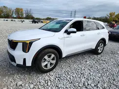 5XYRG4JC8RG298257 2024 KIA SORENTO