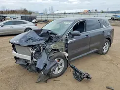 5XYRG4JC8SG348614 2025 KIA SORENTO