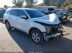 5XYRG4JC9RG309427 2024 KIA SORENTO