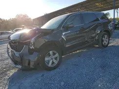 5XYRG4JC9SG407203 2025 KIA SORENTO