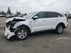 5XYRG4JCXRG309422 2024 KIA SORENTO