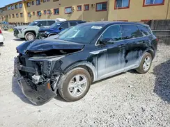 5XYRG4JCXSG404259 2025 KIA SORENTO