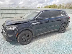 5XYRG4LC2PG163575 2023 KIA SORENTO