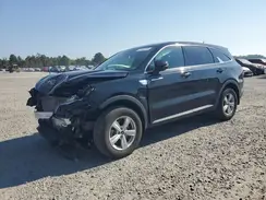 5XYRG4LC3PG204554 2023 KIA SORENTO