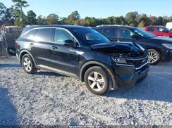 5XYRG4LC3PG245637 2023 KIA SORENTO