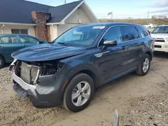 5XYRG4LC3PG245699 2023 KIA SORENTO