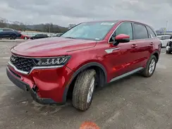 5XYRG4LC5PG185893 2023 KIA SORENTO