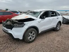 5XYRG4LC5PG209710 2023 KIA SORENTO