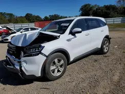 5XYRG4LC8PG168408 2023 KIA SORENTO