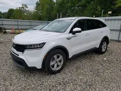 5XYRG4LC8PG190800 2023 KIA SORENTO