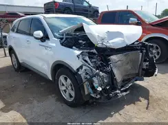 5XYRG4LC8PG192496 2023 KIA SORENTO