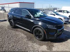 5XYRG4LC8PG208146 2023 KIA SORENTO