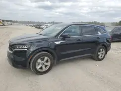5XYRG4LC8PG240207 2023 KIA SORENTO