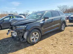 5XYRG4LC8PG242491 2023 KIA SORENTO