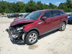 5XYRG4LC9PG163668 2023 KIA SORENTO