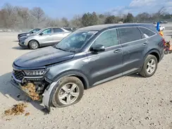 5XYRG4LC9PG207149 2023 KIA SORENTO