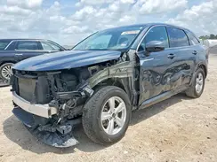 5XYRG4LC9PG209967 2023 KIA SORENTO