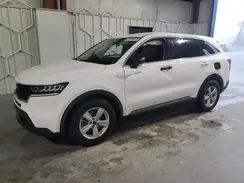 5XYRG4LCXPG164618 2023 KIA SORENTO
