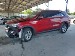 5XYRG4LCXPG240550 2023 KIA SORENTO