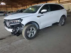 5XYRG4LCXPG247479 2023 KIA SORENTO