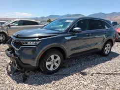 5XYRGDLC1NG100917 2022 KIA SORENTO